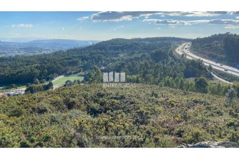 Helårsgrund i Figueiras e Covas, Porto, Figueiras e Covas - € 187.500 | Ref: MC09266 - foto 13