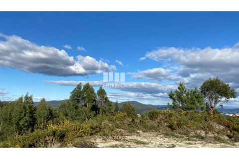 Helårsgrund i Figueiras e Covas, Porto, Figueiras e Covas - € 187.500 | Ref: MC09266 - foto 14
