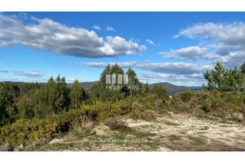 Helårsgrund i Figueiras e Covas, Porto, Figueiras e Covas - € 187.500 | Ref: MC09266 - foto 15