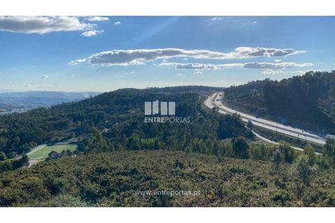 Helårsgrund i Figueiras e Covas, Porto, Figueiras e Covas - € 187.500 | Ref: MC09266 - foto 20