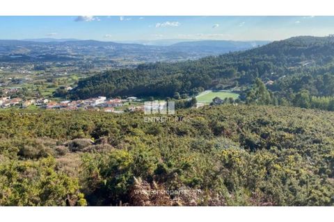 Helårsgrund i Figueiras e Covas, Porto, Figueiras e Covas - € 187.500 | Ref: MC09266 - foto 22
