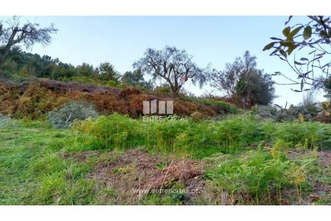 Helårsgrund i Valenca, Viana do Castelo, Valenca - € 42.000 | Ref: C02429 - foto 2