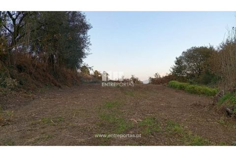 Helårsgrund i Valenca, Viana do Castelo, Valenca - € 42.000 | Ref: C02429 - foto 4