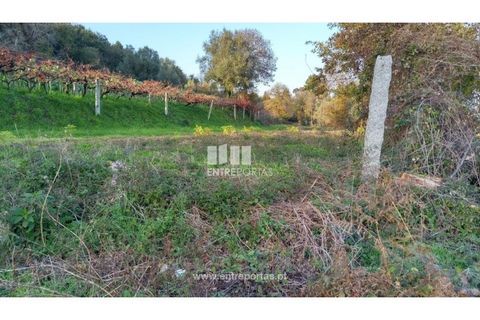 Helårsgrund i Valenca, Viana do Castelo, Valenca - € 42.000 | Ref: C02429 - foto 6