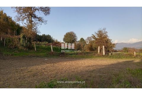 Helårsgrund i Valenca, Viana do Castelo, Valenca - € 42.000 | Ref: C02429 - foto 7