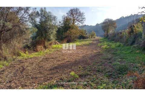 Helårsgrund i Valenca, Viana do Castelo, Valenca - € 42.000 | Ref: C02429 - foto 8