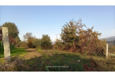 Helårsgrund i Valenca, Viana do Castelo, Valenca - € 42.000 | Ref: C02429 - foto 9