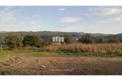 Helårsgrund i Valenca, Viana do Castelo, Valenca - € 42.000 | Ref: C02429 - foto 10