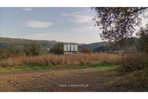 Helårsgrund i Valenca, Viana do Castelo, Valenca - € 42.000 | Ref: C02429 - foto 11