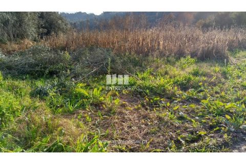 Helårsgrund i Valenca, Viana do Castelo, Valenca - € 42.000 | Ref: C02429 - foto 14