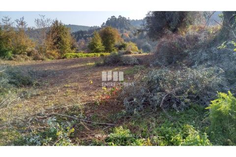 Helårsgrund i Valenca, Viana do Castelo, Valenca - € 42.000 | Ref: C02429 - foto 15