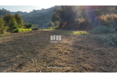 Helårsgrund i Valenca, Viana do Castelo, Valenca - € 42.000 | Ref: C02429 - foto 16