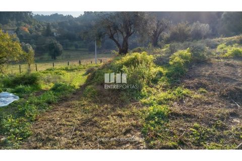 Helårsgrund i Valenca, Viana do Castelo, Valenca - € 42.000 | Ref: C02429 - foto 18