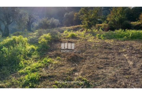 Helårsgrund i Valenca, Viana do Castelo, Valenca - € 42.000 | Ref: C02429 - foto 19