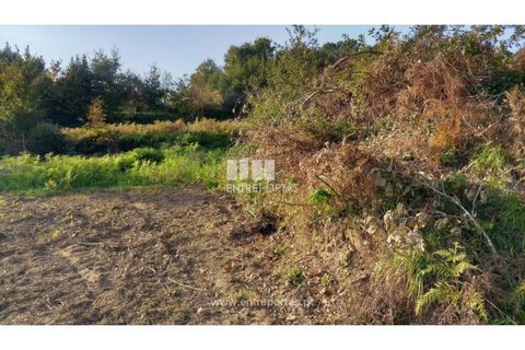 Helårsgrund i Valenca, Viana do Castelo, Valenca - € 42.000 | Ref: C02429 - foto 20