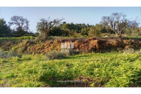 Helårsgrund i Valenca, Viana do Castelo, Valenca - € 42.000 | Ref: C02429 - foto 21