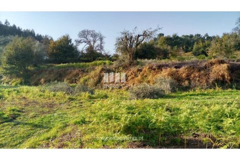 Helårsgrund i Valenca, Viana do Castelo, Valenca - € 42.000 | Ref: C02429 - foto 22