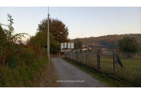 Helårsgrund i Valenca, Viana do Castelo, Valenca - € 42.000 | Ref: C02429 - foto 29