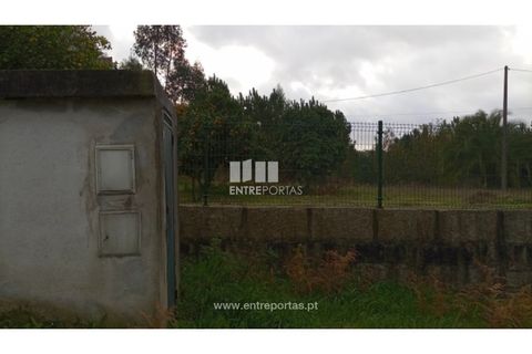 Landejendom i Fontoura, Viana do Castelo, Fontoura - € 200.000 | Ref: C02436 - foto 15
