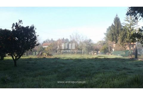 Landejendom i Fontoura, Viana do Castelo, Fontoura - € 200.000 | Ref: C02436 - foto 30