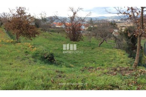 Helårsgrund i Caminha, Viana do Castelo, Caminha - € 200.000 | Ref: C02482 - foto 1
