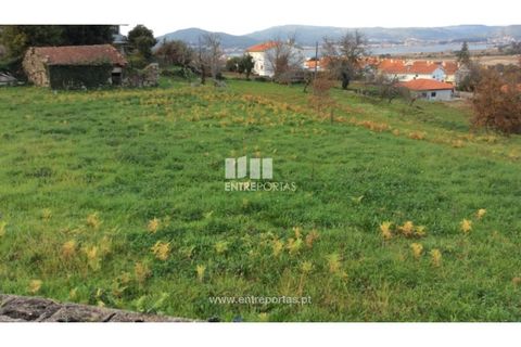 Helårsgrund i Caminha, Viana do Castelo, Caminha - € 200.000 | Ref: C02482 - foto 2