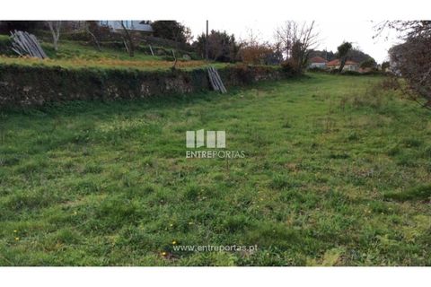 Helårsgrund i Caminha, Viana do Castelo, Caminha - € 200.000 | Ref: C02482 - foto 3