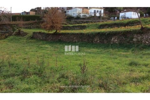 Helårsgrund i Caminha, Viana do Castelo, Caminha - € 200.000 | Ref: C02482 - foto 5