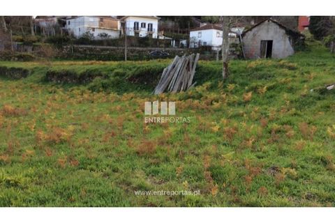 Helårsgrund i Caminha, Viana do Castelo, Caminha - € 200.000 | Ref: C02482 - foto 7