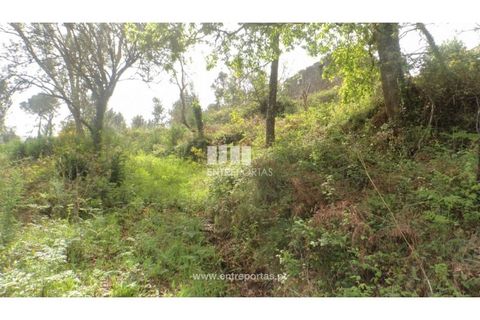 Helårsgrund i Venade e Azevedo, Viana do Castelo, Venade e Azevedo - € 82.000 | Ref: C02486 - foto 4