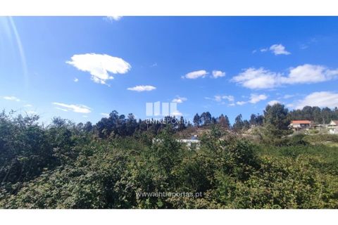 Helårsgrund i Amarante, Porto, Amarante - € 107.000 | Ref: MC09321 - foto 24