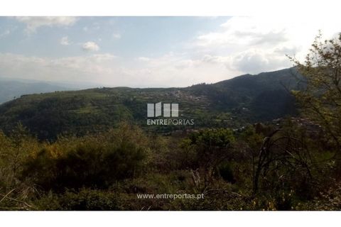 Grond in Gestaco, Porto, Gestaco - € 12.500 | Ref: MC09342 - foto 1