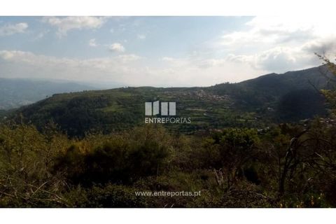 Grond in Gestaco, Porto, Gestaco - € 12.500 | Ref: MC09342 - foto 2