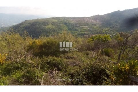 Grond in Gestaco, Porto, Gestaco - € 12.500 | Ref: MC09342 - foto 3