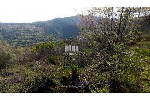 Grond in Gestaco, Porto, Gestaco - € 12.500 | Ref: MC09342 - foto 4