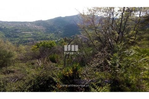 Grond in Gestaco, Porto, Gestaco - € 12.500 | Ref: MC09342 - foto 5
