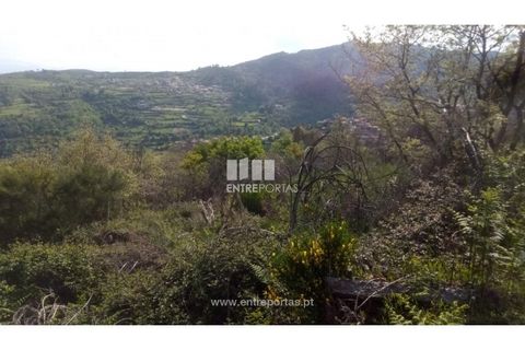 Grond in Gestaco, Porto, Gestaco - € 12.500 | Ref: MC09342 - foto 6