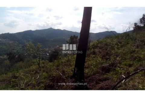 Grond in Gestaco, Porto, Gestaco - € 12.500 | Ref: MC09342 - foto 7