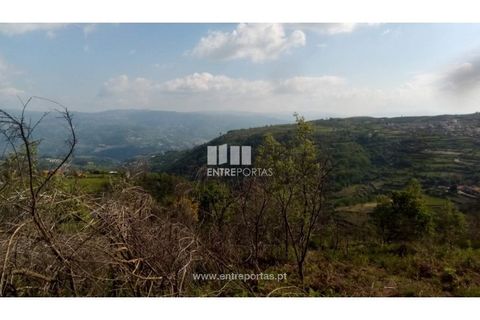 Grond in Gestaco, Porto, Gestaco - € 12.500 | Ref: MC09342 - foto 8