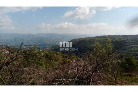 Grond in Gestaco, Porto, Gestaco - € 12.500 | Ref: MC09342 - foto 9