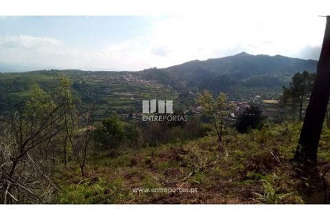 Grond in Gestaco, Porto, Gestaco - € 12.500 | Ref: MC09342 - foto 10