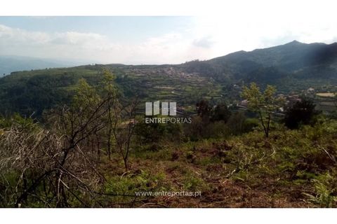 Grond in Gestaco, Porto, Gestaco - € 12.500 | Ref: MC09342 - foto 11