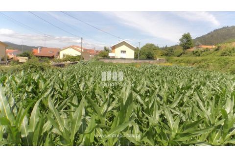 Helårsgrund i Caminha, Viana do Castelo, Caminha - € 91.750 | Ref: C02527 - foto 1