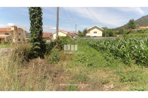 Helårsgrund i Caminha, Viana do Castelo, Caminha - € 91.750 | Ref: C02527 - foto 2