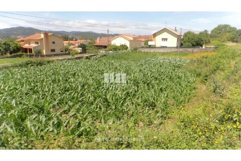 Helårsgrund i Caminha, Viana do Castelo, Caminha - € 91.750 | Ref: C02527 - foto 3