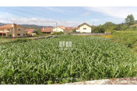Helårsgrund i Caminha, Viana do Castelo, Caminha - € 91.750 | Ref: C02527 - foto 9