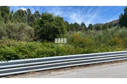 Terra a Atei, Vila Real, Atei - € 180.000 | Ref: MC09363 - foto 2