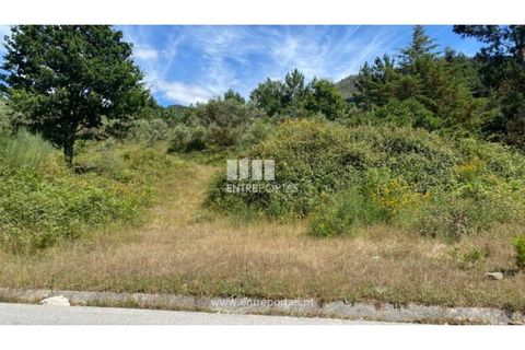 Terra a Atei, Vila Real, Atei - € 180.000 | Ref: MC09363 - foto 3