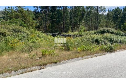 Terra a Atei, Vila Real, Atei - € 180.000 | Ref: MC09363 - foto 5