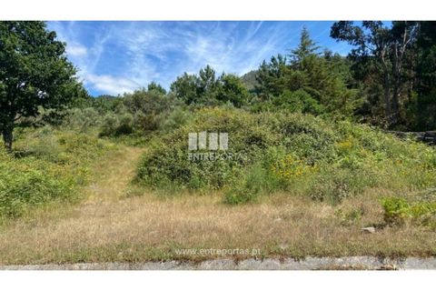 Terra a Atei, Vila Real, Atei - € 180.000 | Ref: MC09363 - foto 6